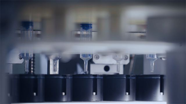 parte de relleno.jpg