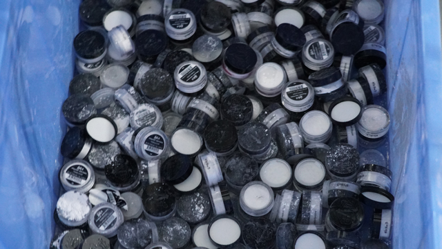 muestras finales.JPG