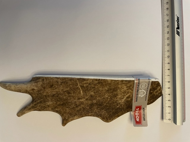 Ciervo gamo ancho XXL 4-7cm.jpg