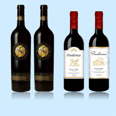 Etiquetado de botellas de pegamento.jpg